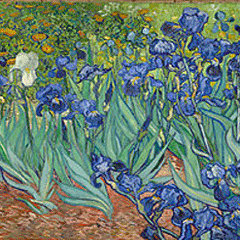 reproductie Irissen van Vincent van Gogh